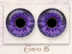 Eye-d 16